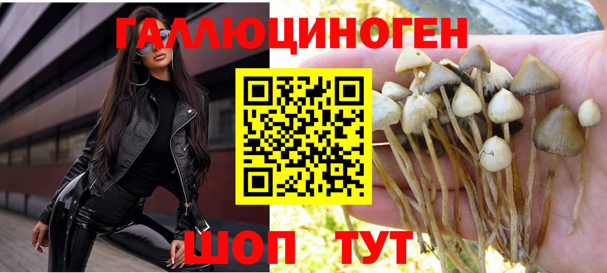 Псилоцибиновые грибы мицелий  Вход с VPN  Камышин 