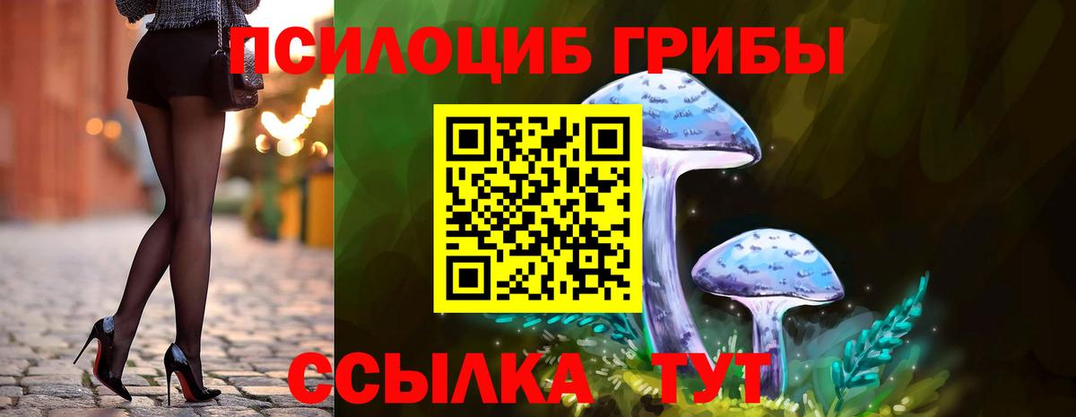 Псилоцибиновые грибы мухоморы Камышин